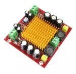 Amplificador De Audio Mono 150w Rms