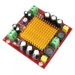Amplificador De Audio Mono 150w Rms