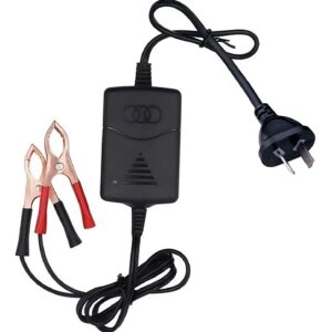 Mantenedor & cargador 12v/24v 1a Gel / Plomo