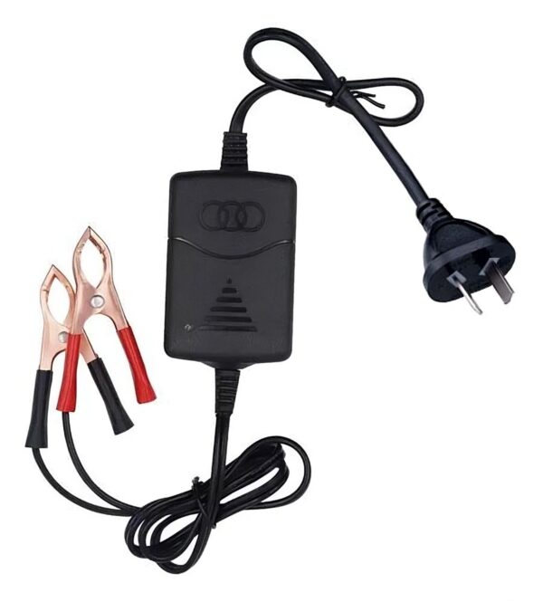 Mantenedor & cargador 12v/24v 1a Gel / Plomo